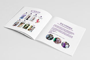 深圳市頂點企業(yè)形象策劃 安娜品牌形象色彩與畫冊設計解析